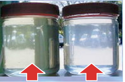 Pond water with blue-green algae (pH 9.4) After ozone treatment (pH 7.7)