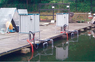 The Wind-Powered Water Cleaning System in Use